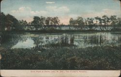 Duck Pond at Devils Lake, The Hunter's Paradise Postcard