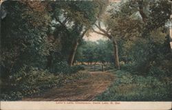 Lover's Lane, Chautauqua, Devils Lake, ND Postcard