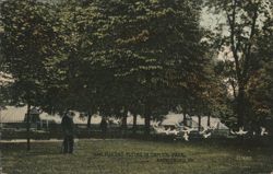 Tame Pigeons Flying in Capitol Park, Harrisburg, PA Postcard
