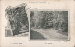 Scenes in Mill Creek Park, Hillside Walk, The Spring Postcard