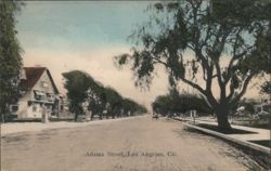 Adams Street, Los Angeles, CA Postcard