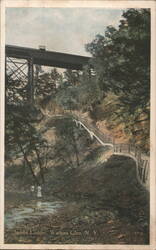 Jacobs Ladder, Watkins Glen Postcard