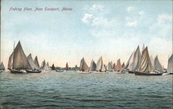Fishing Fleet, Near Eastport, Maine Postcard