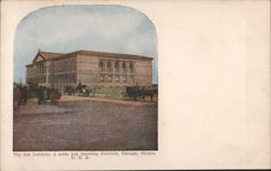 The Art Institute, Chicago, Illinois Postcard