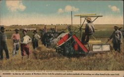 Algiers Harvesting Grain, Primitive & Modern Methods Postcard