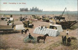 Harvesting in the West, San Jose Valley Postcard
