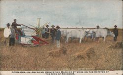 American Harvesting Machine on King of Roumania's Estates Postcard