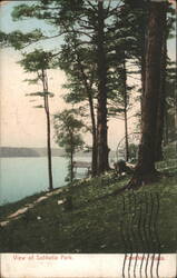 Sabbatia Park Lake View, Taunton, MA Postcard