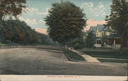 Altamont Place, Tree-Lined Street & Homes Postcard
