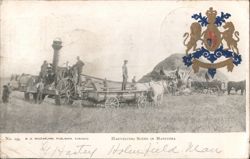 Harvesting Scene, Steam Thresher, Holmfield, Manitoba Postcard