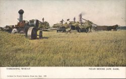 Threshing Wheat with Steam Engine, Moose Jaw, SK Postcard