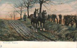 Rural Life: Ploughing with Horses Postcard