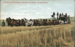 COMBINED THRASHER & REAPER AT WORK. WASHINGTON. Postcard