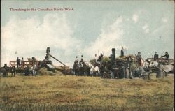 Threshing in the Canadian North West Postcard