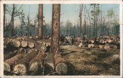 Southern Lumber District Logging Scene Postcard