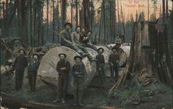 Loggers in the Timber Belt Postcard