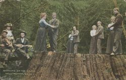 Dancing on the Stump, Lake Whatcom, Bellingham, WA Postcard