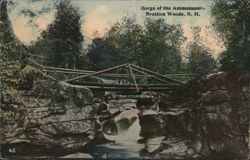Gorge of the Ammonusuc, Bretton Woods, N. H. Postcard