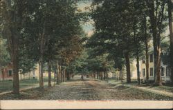 Main Street, Looking South, Poland, NY Postcard