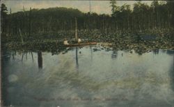 Fishing on Lake Near Marion, Alabama Postcard