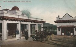 Shaw's Hot Springs, Carson, Nevada Postcard