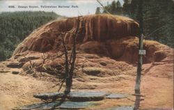 Orange Geyser, Yellowstone National Park Postcard