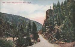 Obsidian Cliff, Yellowstone National Park Postcard