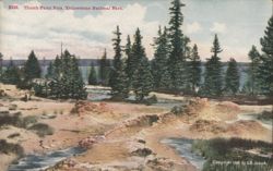 Thumb Paint Pots, Yellowstone National Park Postcard