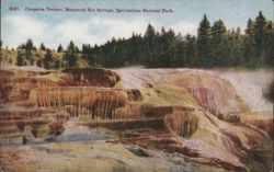 Cleopatra Terrace, Mammoth Hot Springs, Yellowstone NP Postcard