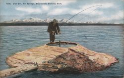 Fish Pot, Hot Springs, Yellowstone National Park Postcard