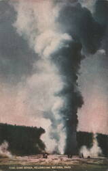Giant Geyser Eruption, Yellowstone National Park Postcard