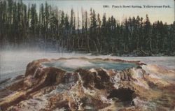 Punch Bowl Spring, Upper Geyser Basin, Yellowstone Park Postcard
