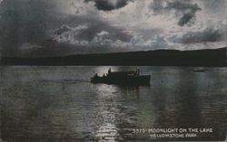 Moonlight on the Lake, Yellowstone Park Postcard