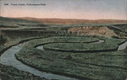 Trout Creek, Yellowstone Park Postcard