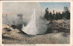 New Crater Geyser, Yellowstone National Park Postcard