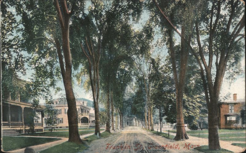 Franklin Street Tree-Lined Avenue, Greenfield, MA Massachusetts