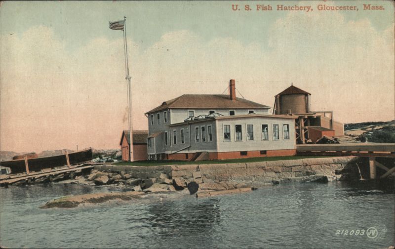 U. S. Fish Hatchery Gloucester Massachusetts