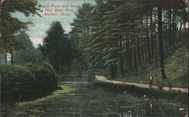 Island Pond and Road, Pine Bank Park Malden Massachusetts