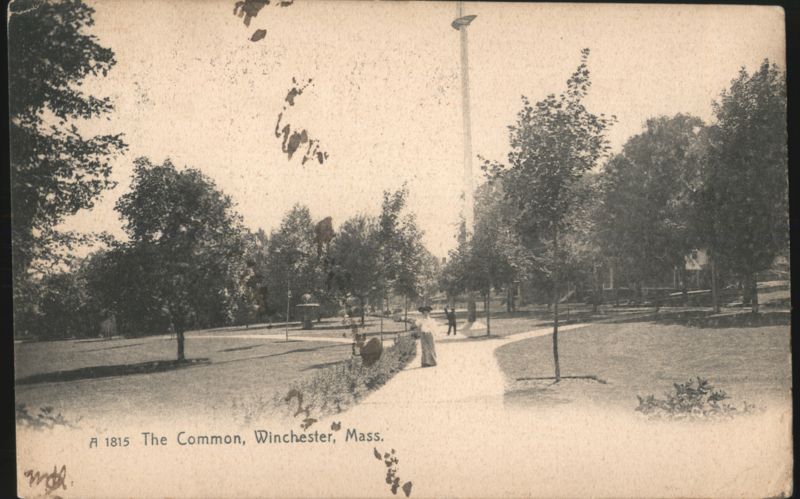 The Common Winchester Massachusetts