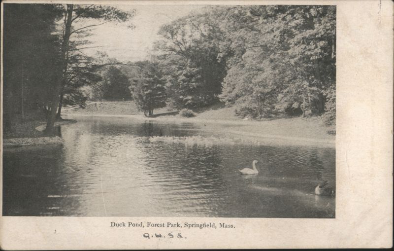 Duck Pond, Forest Park, Springfield, Mass. Massachusetts