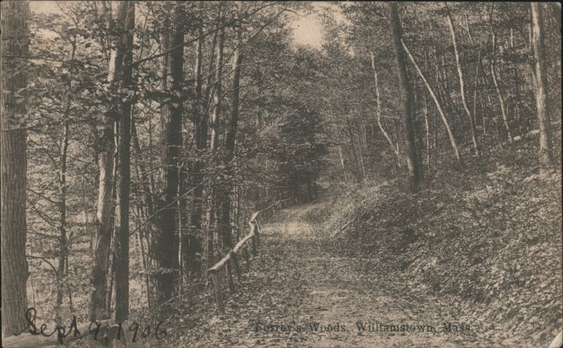 Potter's Woods Path, Williamstown, MA Massachusetts