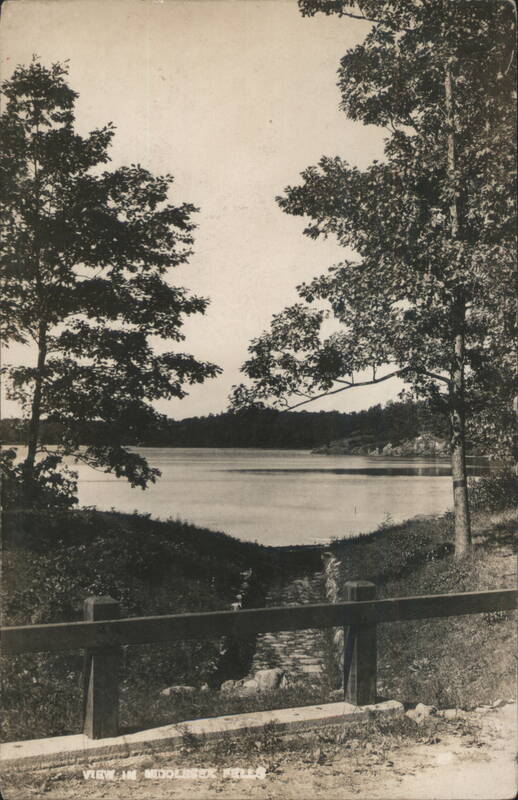 View in Middleboro, MA - Lake with Trees & Fence Massachusetts