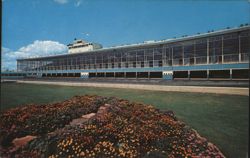 Taunton Dog Track - Home of American Greyhound Derby Postcard