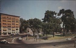 Pittsfield Common Postcard