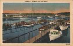 Osterville Harbor, Cape Cod, MA - Boats and Docks Postcard