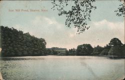 Saw Mill Pond, Sharon, Mass. Postcard
