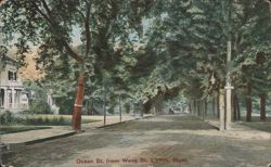 Ocean St. from Wave St., Tree-Lined Street, Lynn Postcard