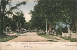 Plymouth Street, North Middleboro, MA, Tree-lined Postcard