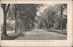 Frog Pond, Washington Park and High Street Postcard