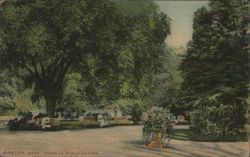 Boston Public Garden Scene, Massachusetts Postcard